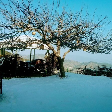 The Swiss Village Resort ナイニタール エクステリア 写真