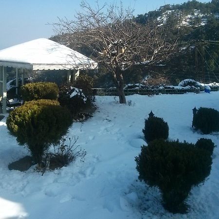 The Swiss Village Resort ナイニタール エクステリア 写真